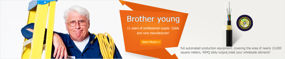 11 years of professional supply  Cable and wire manufacturer!