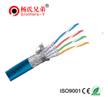 Cat7 ftp cable.doc